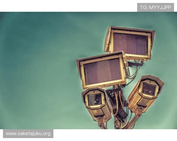 王子娱乐平台:安全保障措施与用户隐私保护详解 王子娱乐平台:安全保障措施与用户隐私保护详解